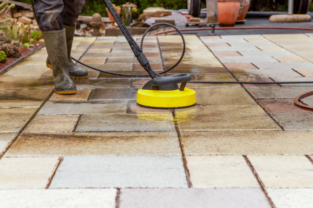 Best Animal Enclosure Cleaning  in Tamarac, FL